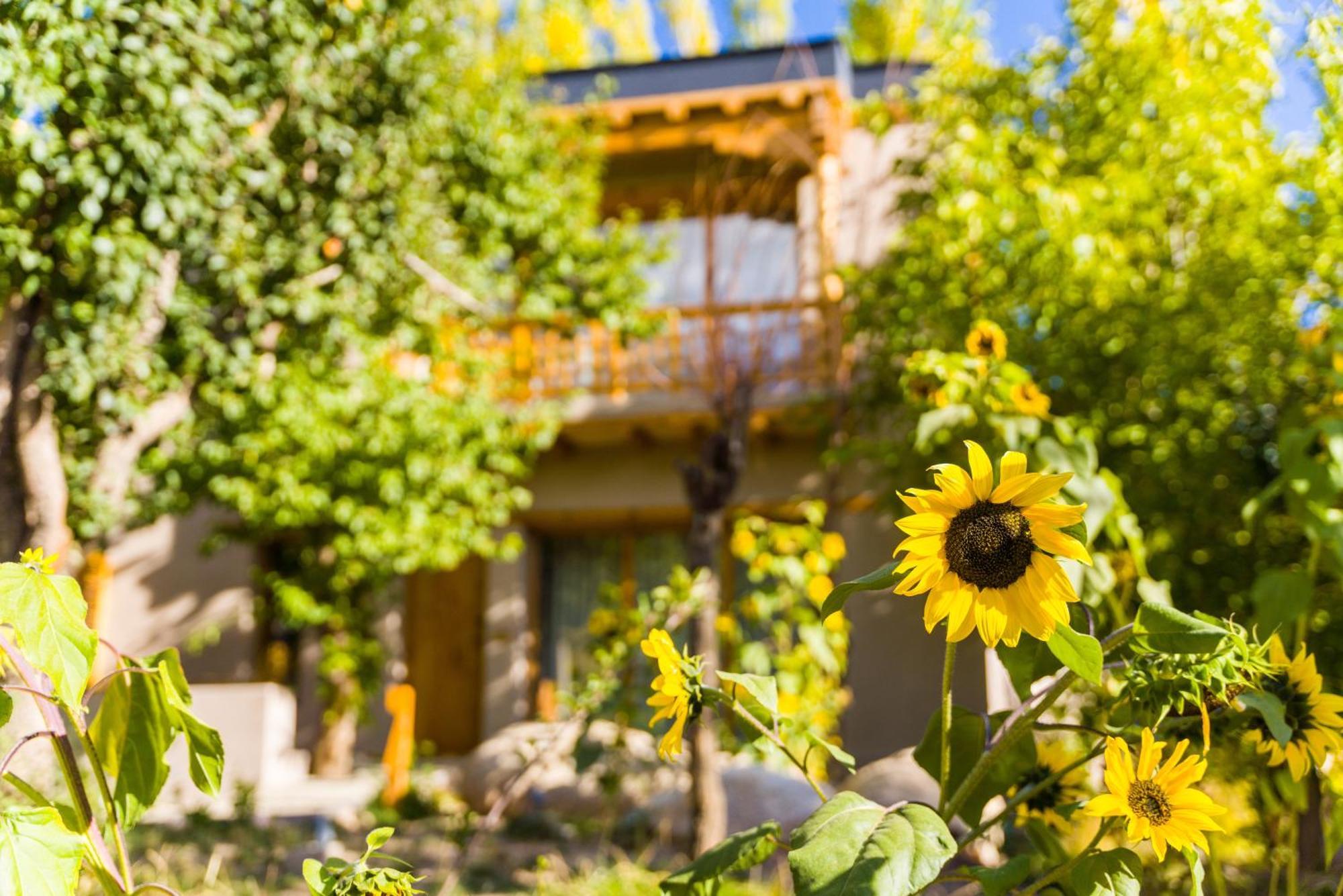 Dolkhar Resort Лех Экстерьер фото